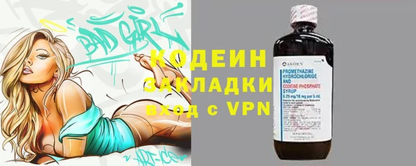 трава Ельня
