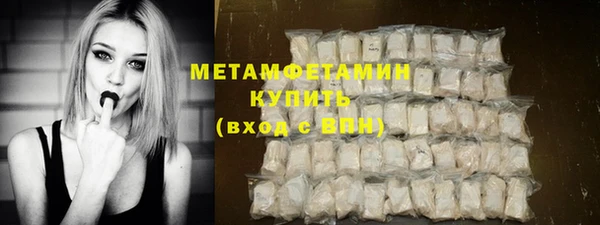 трава Ельня