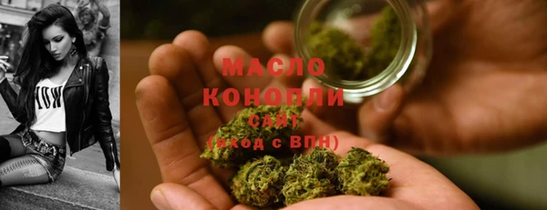 трава Ельня