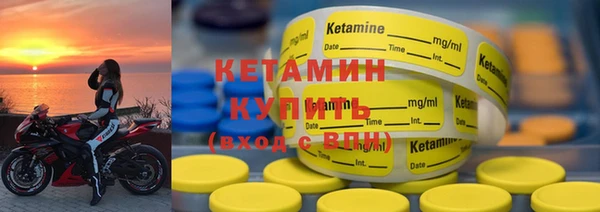 трава Ельня