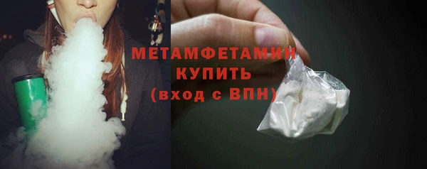 трава Ельня