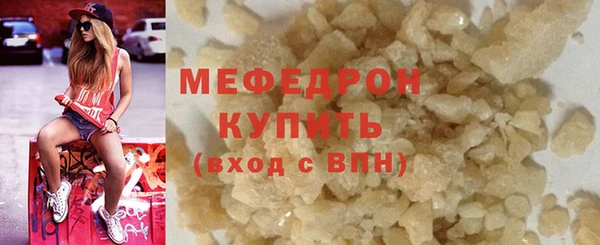 трава Ельня