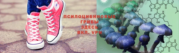 mdpv Елабуга