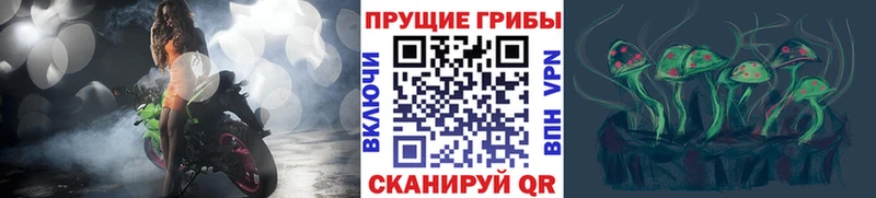 кракен как войти  Сретенск  Псилоцибиновые грибы Magic Shrooms  продажа наркотиков 