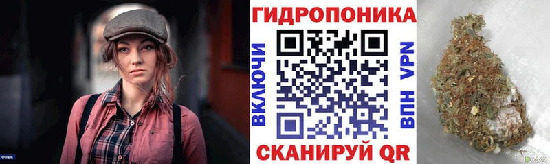 что такое наркотик  Сретенск  Бошки Шишки план 